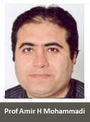 Professor Amir H Mohammadi
