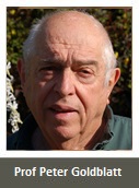 Professor Peter Goldblatt